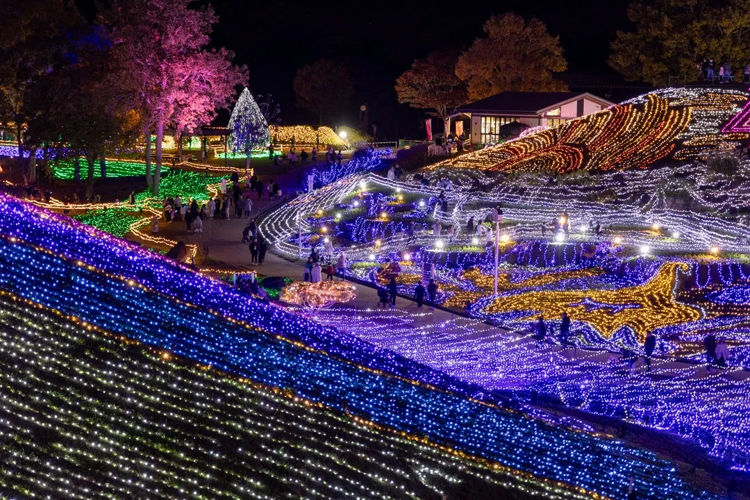昨年の開催様子：夜のイルミネーションの風景