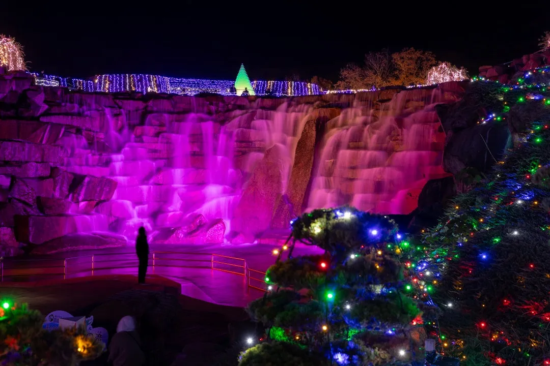昨年の開催様子：滝とクリスマスツリー