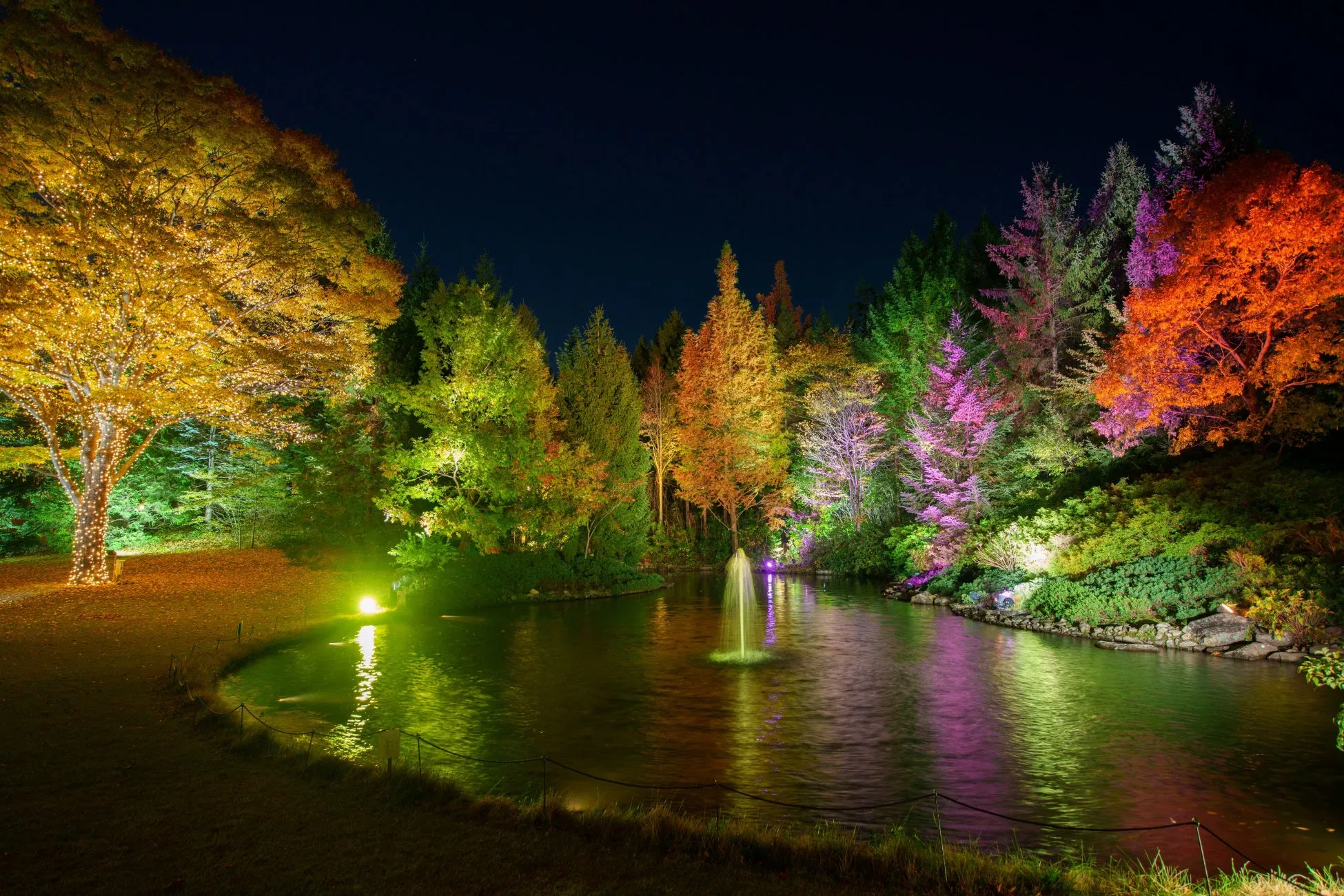 【仙台ロイヤルパークホテル】冬の夜を彩る！光の森ジャズナイトで五感に響く体験を