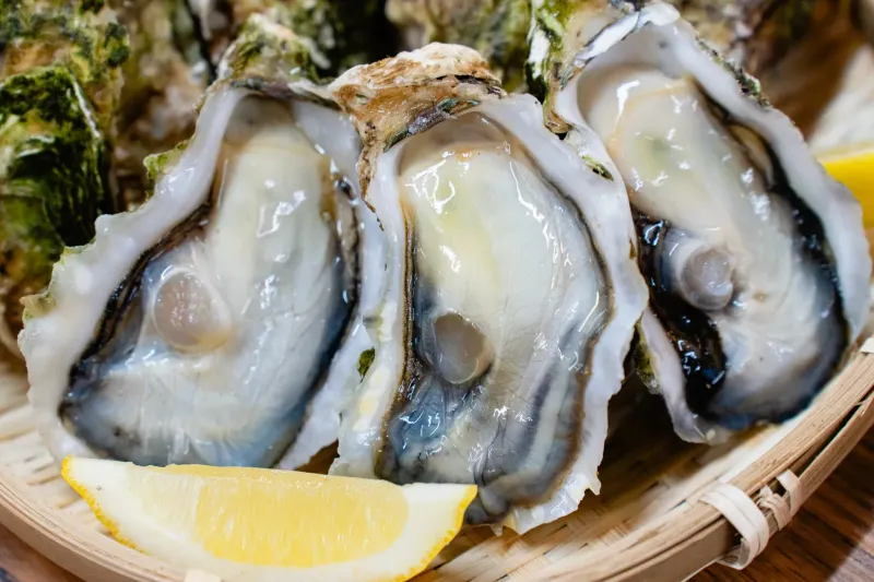 幹事必見！【名古屋・栄】貸切BBQで「焼き牡蠣」が無料!? ウッドデザインパーク栄店