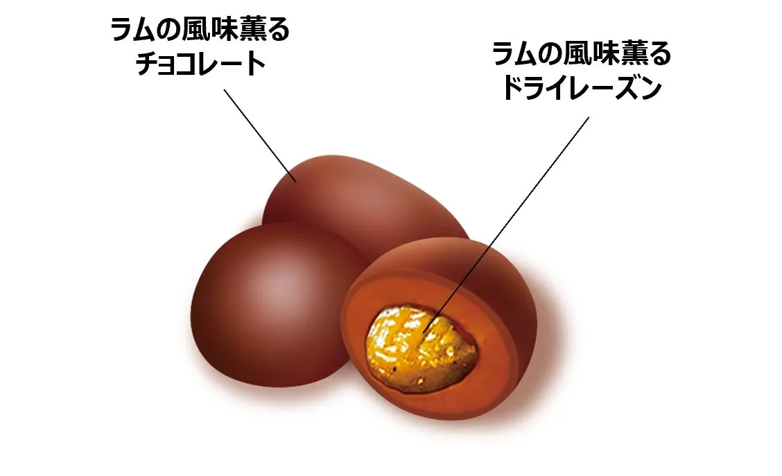 チョコレートでコーティングされたドライレーズンのイラストです。