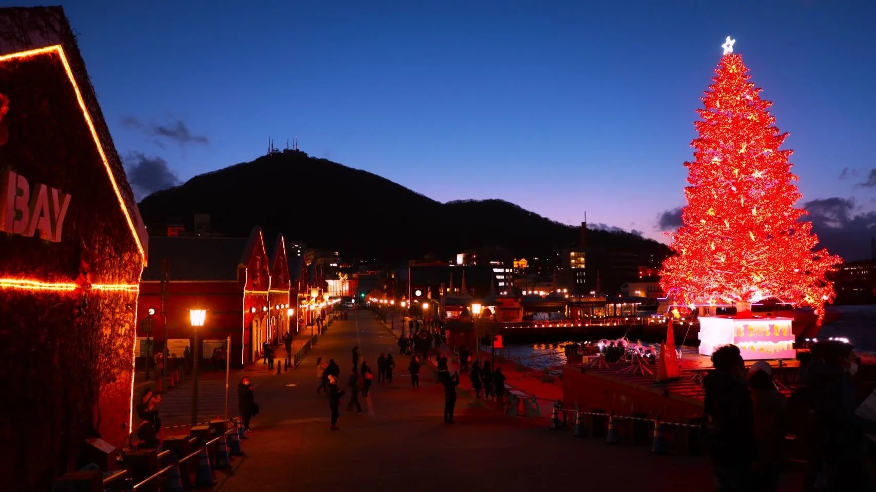 港のクリスマスツリー