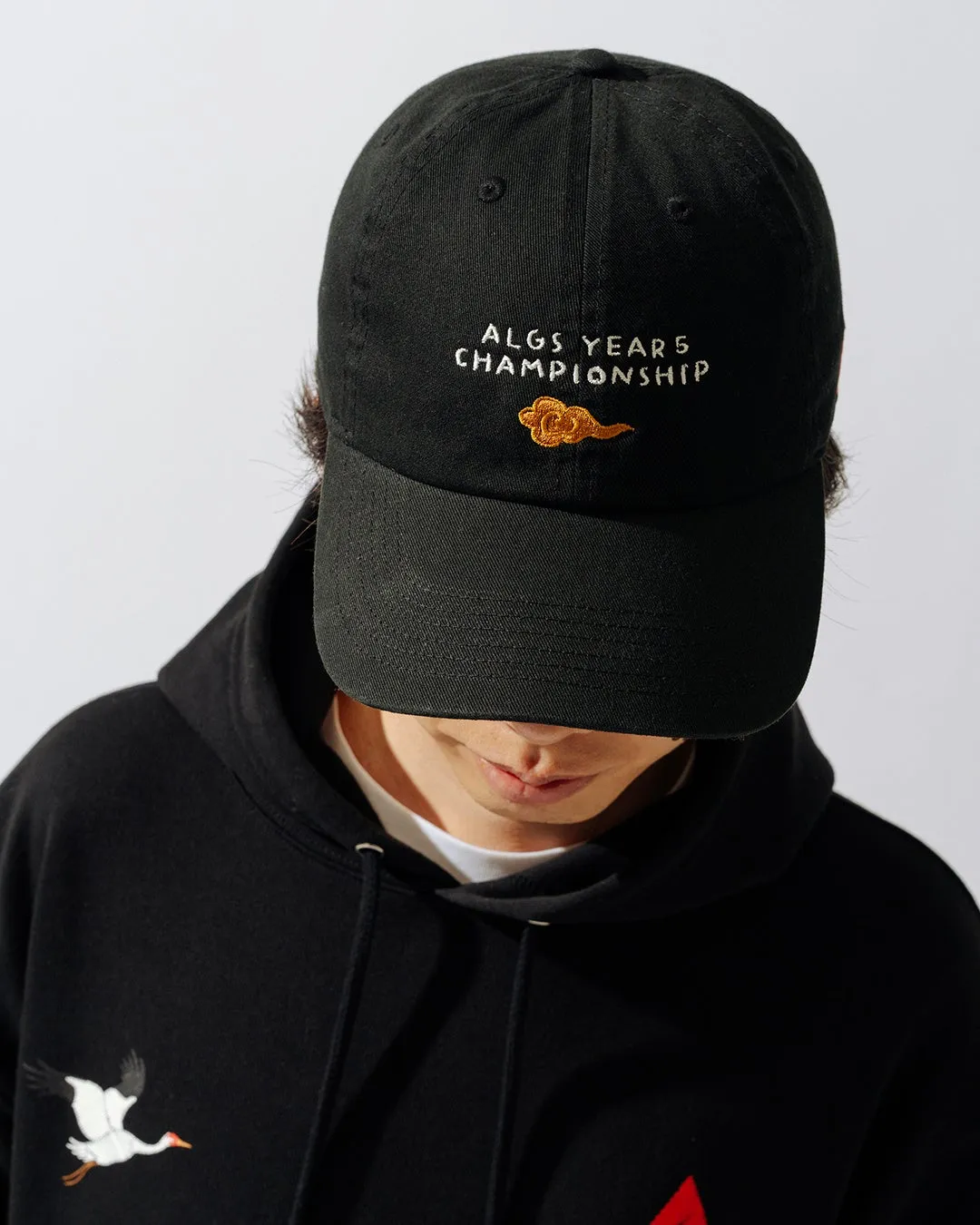 ALGSキャップモデル