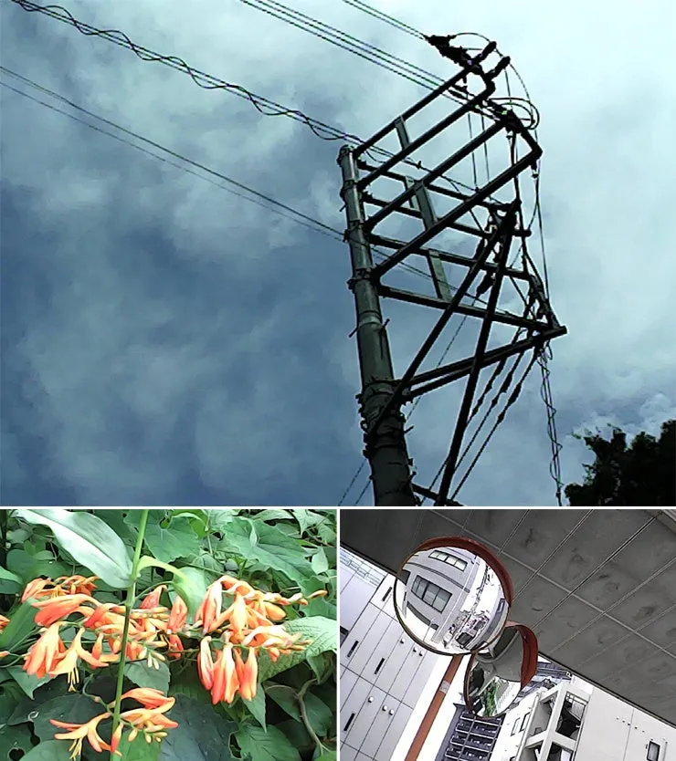 電線が空に伸び、街路樹とオレンジ色の花が咲き、丸い鏡が建物の壁に設置されている様子。