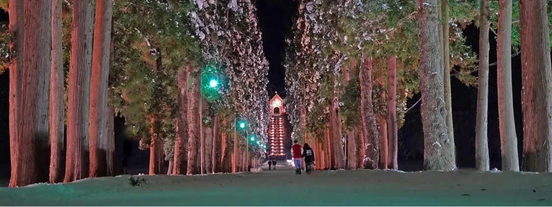 雪景色の中、並木道の奥に教会が見える夜景の写真。並木道には緑色のライトが灯り、カップルが歩いている。