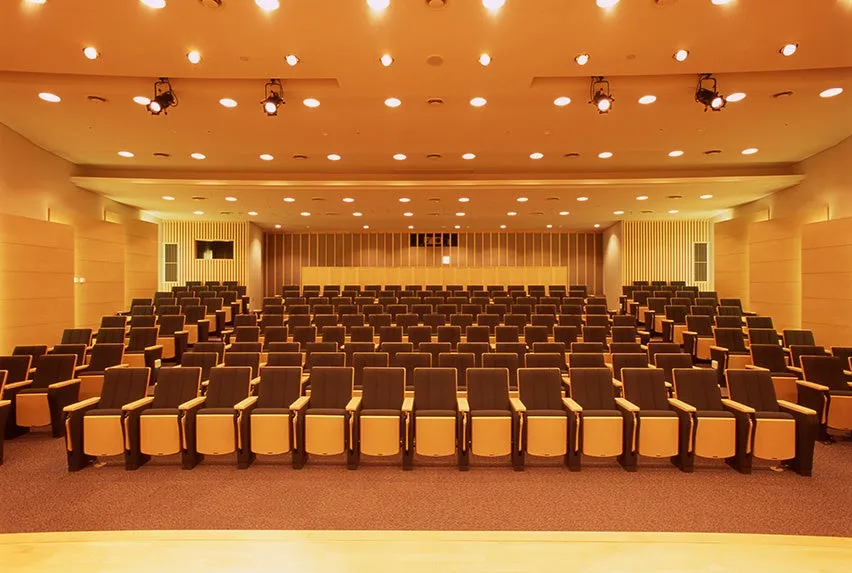 観客席のある講堂のインテリアビュー
