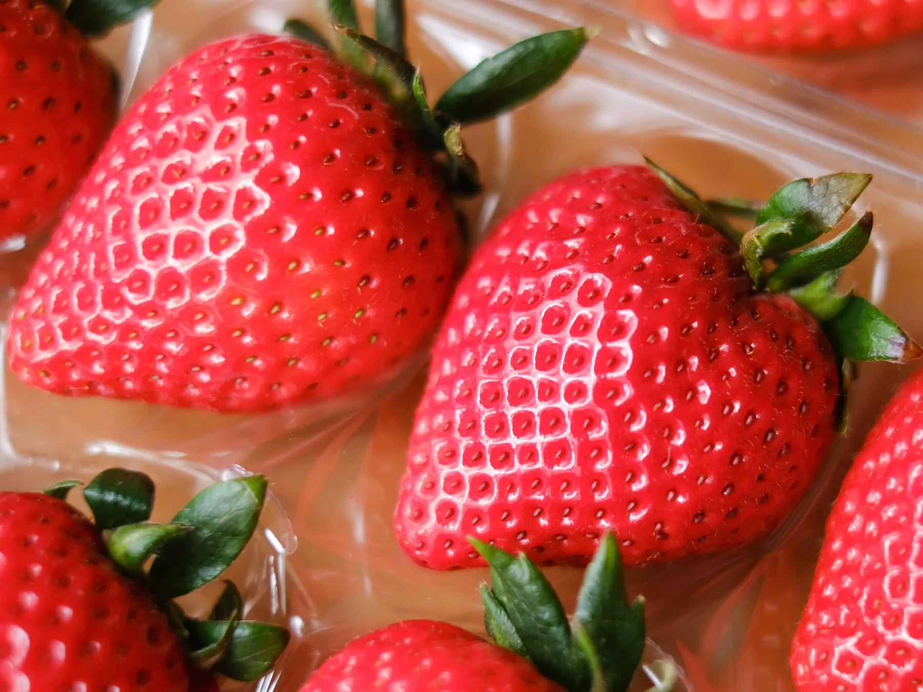 パックに入ったイチゴのクローズアップ写真です。