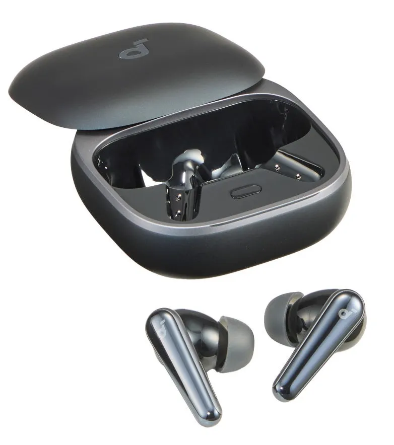黒いワイヤレスイヤホンと充電ケースの画像です。