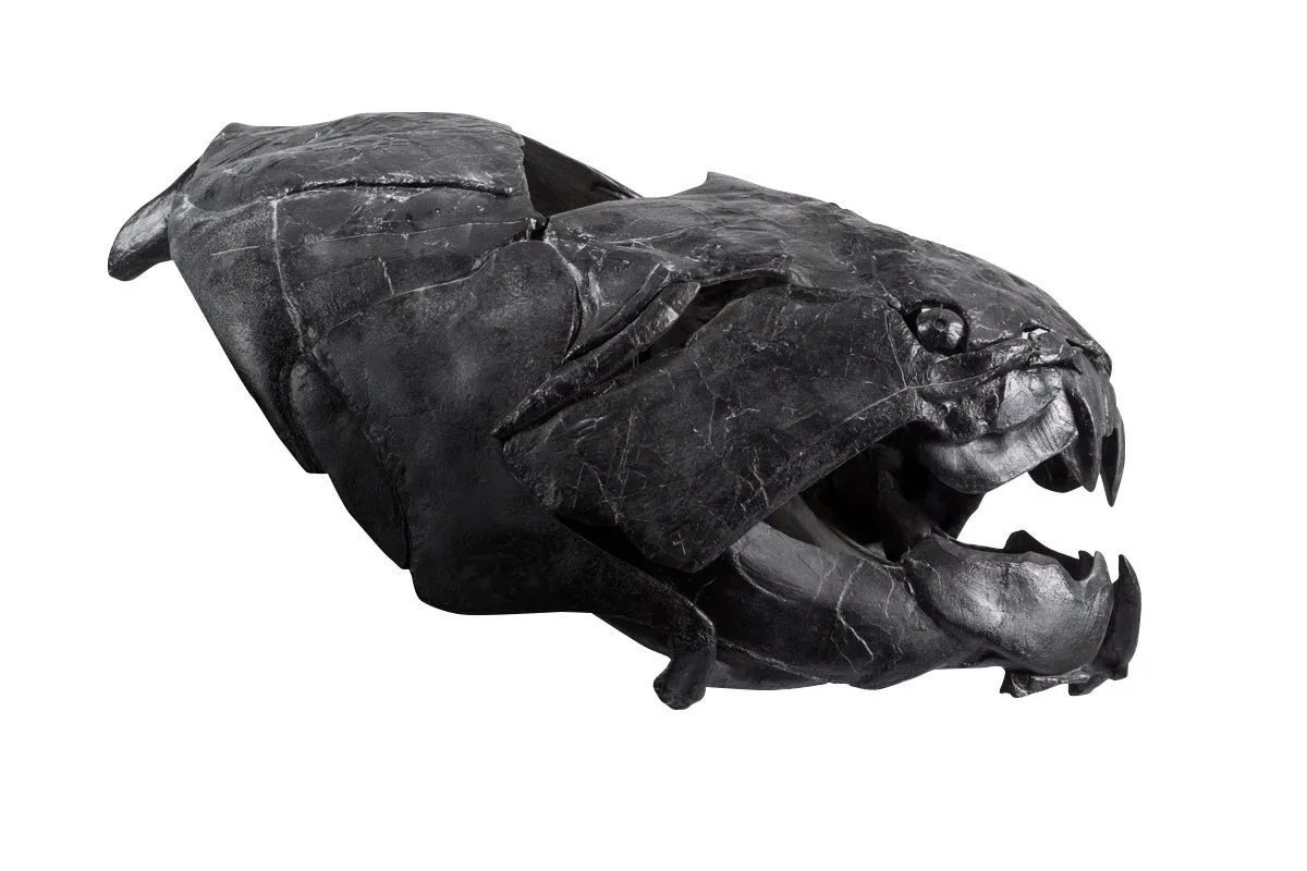 ダンクルオステウスの頭部