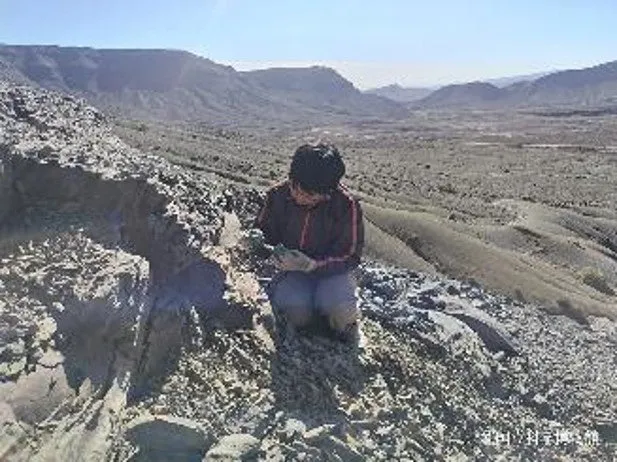 山岳地帯での調査風景
