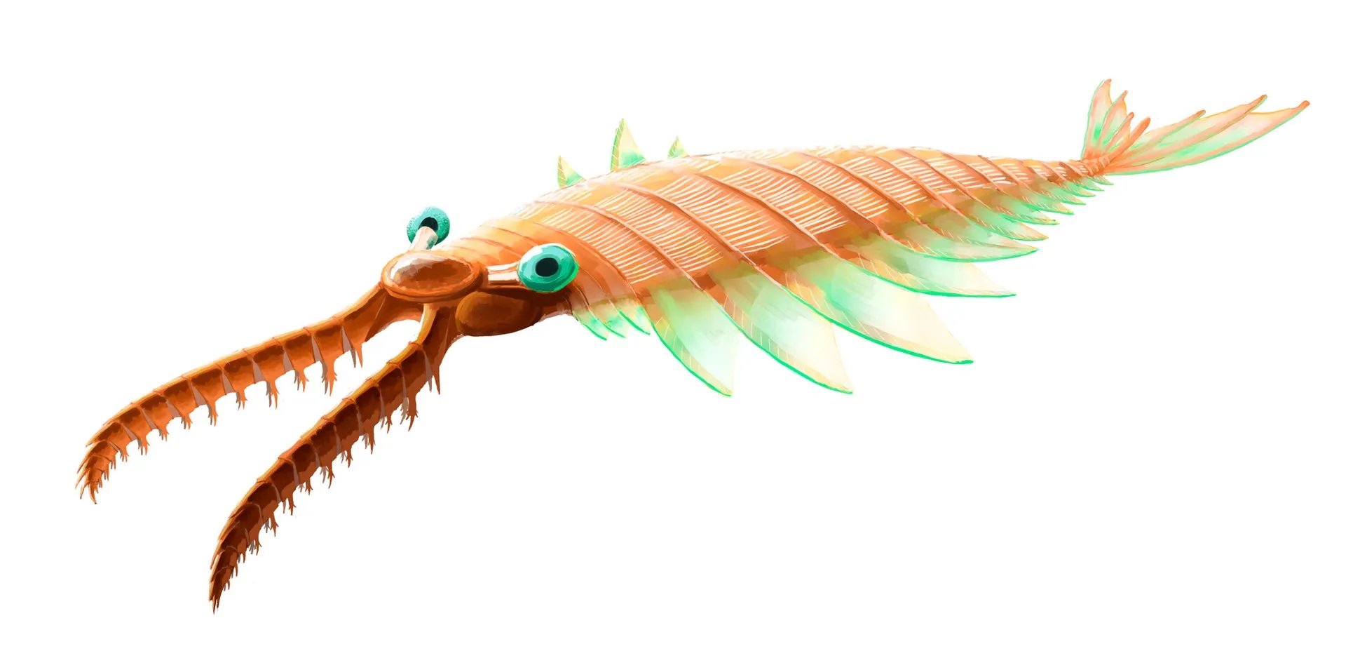 オパビニアのイラスト