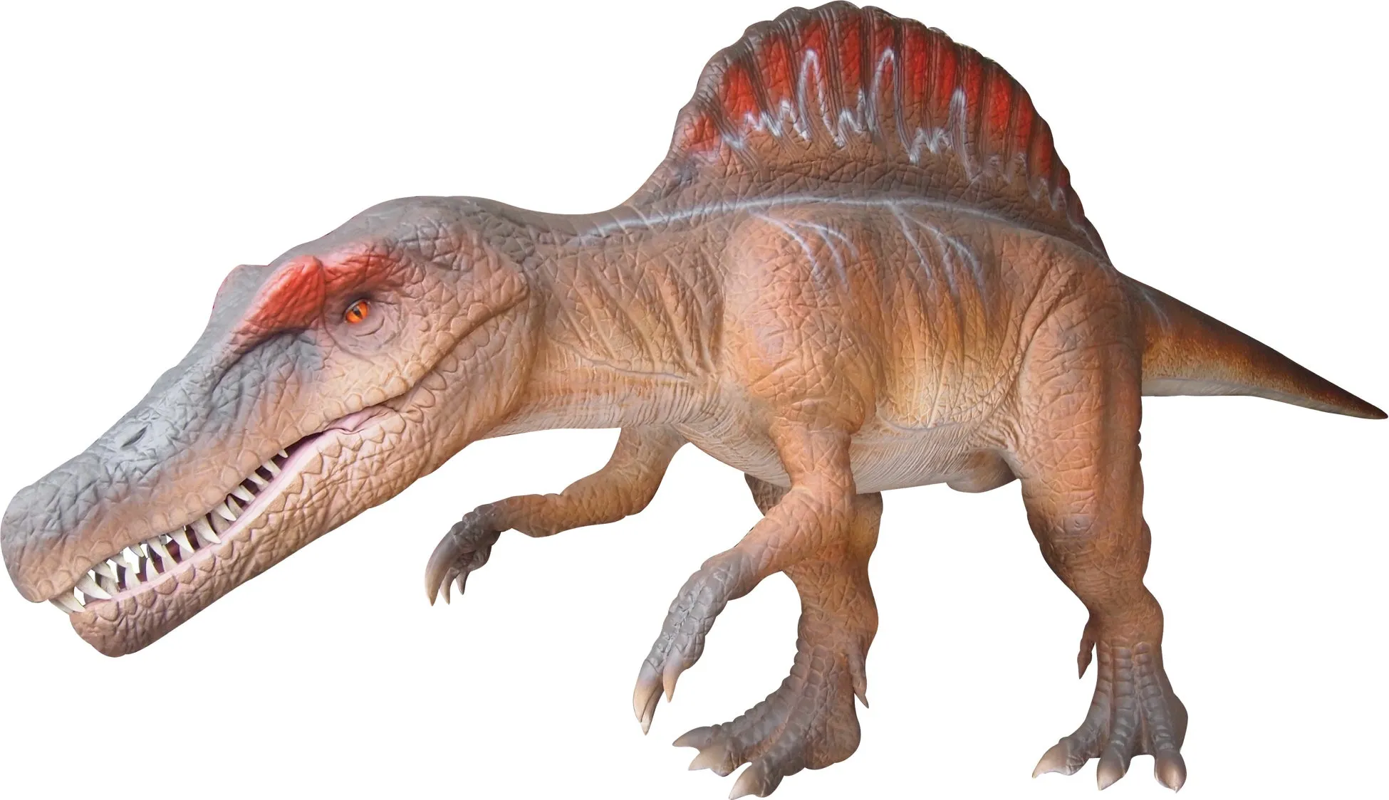 スピノサウルスの像のクローズアップ写真。恐竜は茶色とオレンジ色で、背中に大きな帆があり、口を開けています。