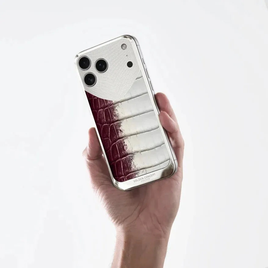 手で持っているiPhoneケースの写真。ケースは革のような質感で、シルバーと赤茶色の色合いをしている。