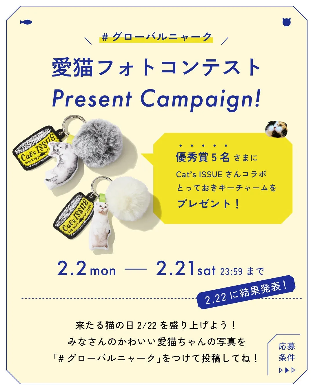 猫の写真コンテストの告知