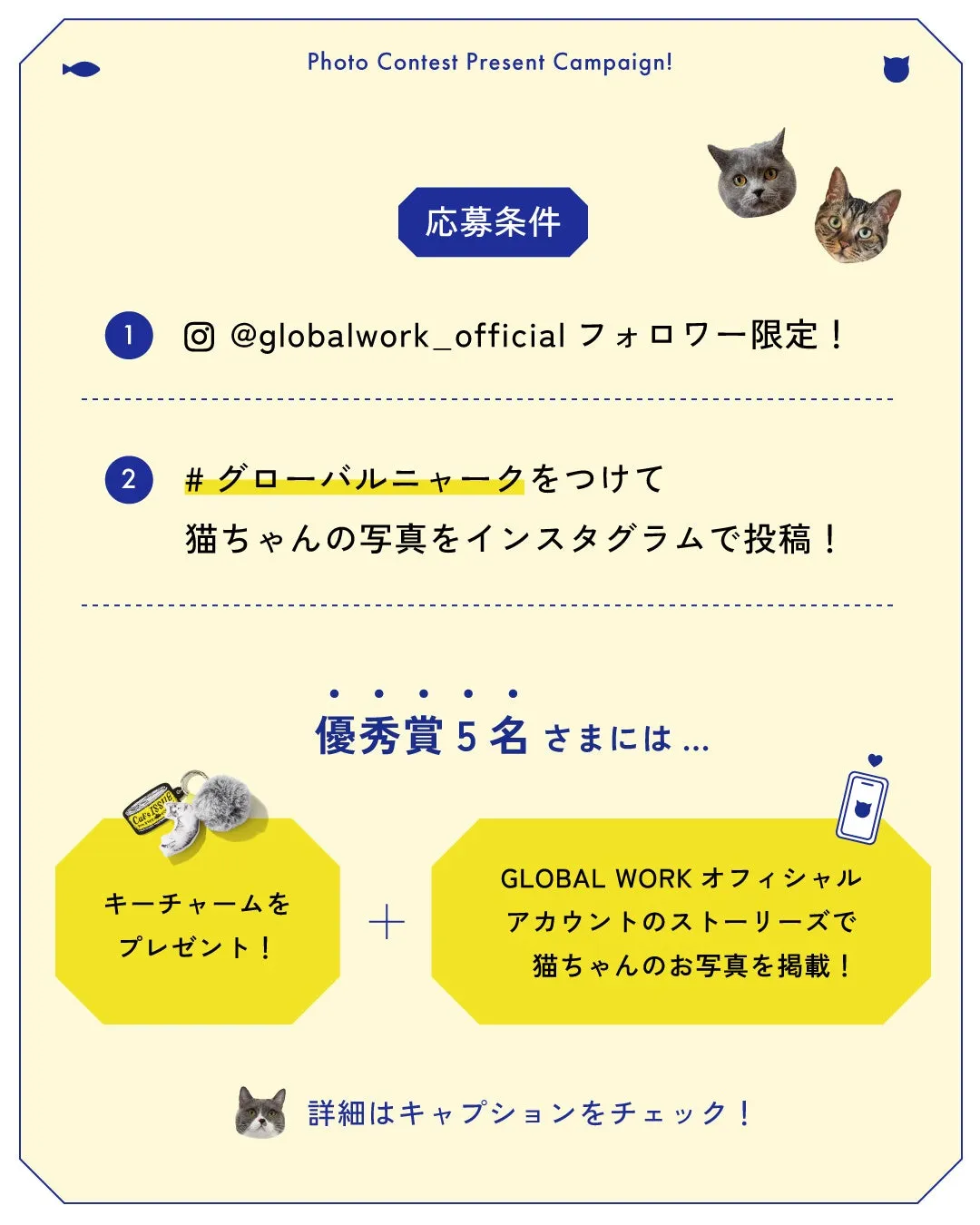 猫の写真コンテストのキャンペーン告知