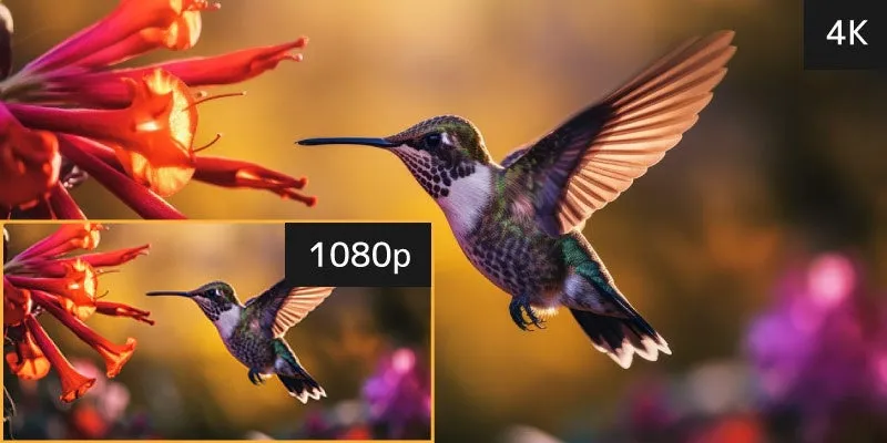 4K, 1080pの比較画像