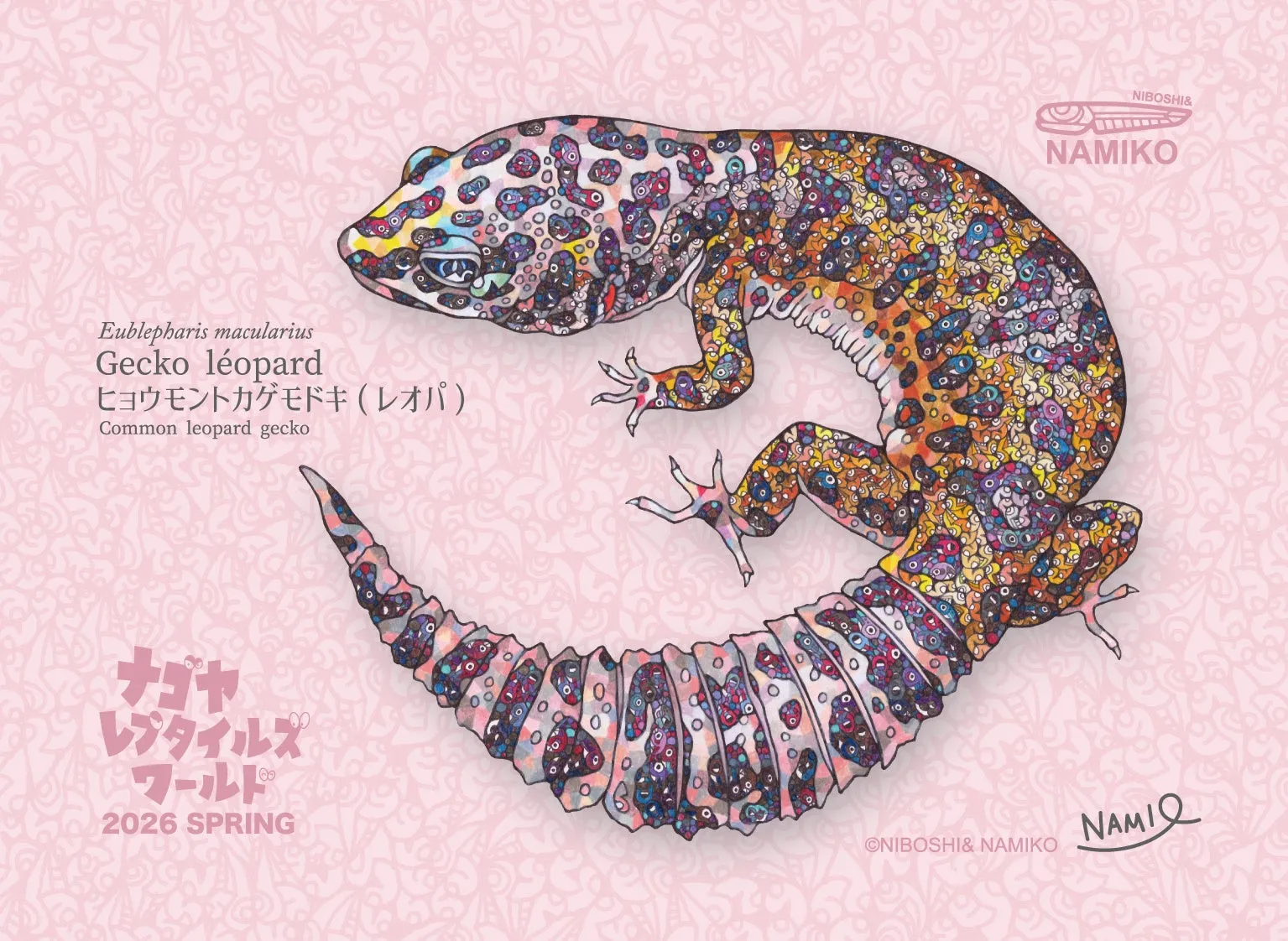 Eublepharis macularius Gecko léopard ヒョウモントカゲモドキ(レオパ) Common leopard gecko ナゴヤ レプタイルズ ワールド 2026 SPRING ONIBOSHI& NAMIKO NIBOSHI& NAMIKO NAMIQ