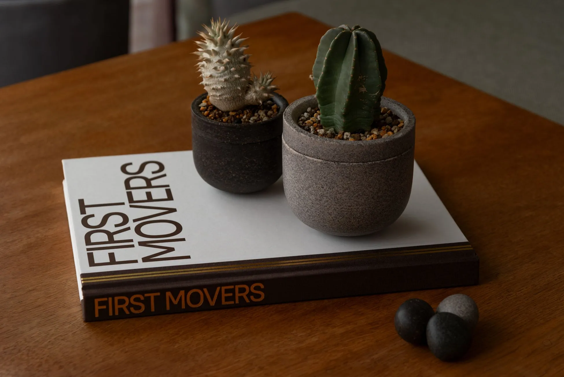 「奈良の鹿フンが美しい石に！【DEER DROP STONE PROJECT】が贈るサステナブルな暮らし」