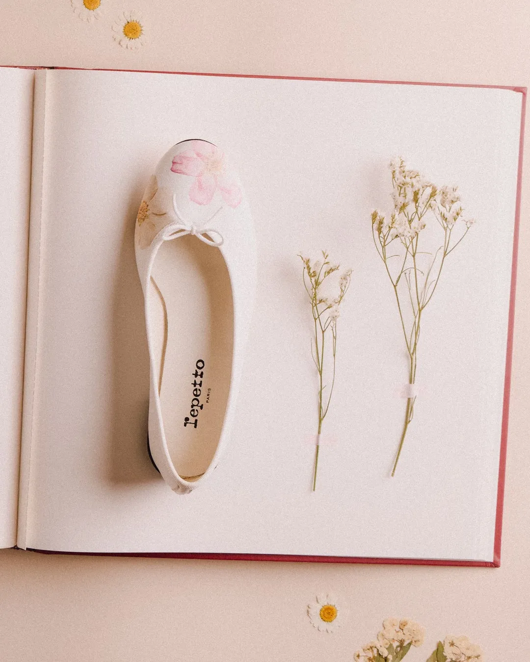 Repetto PARISの白いバレエシューズとドライフラワー、デイジー