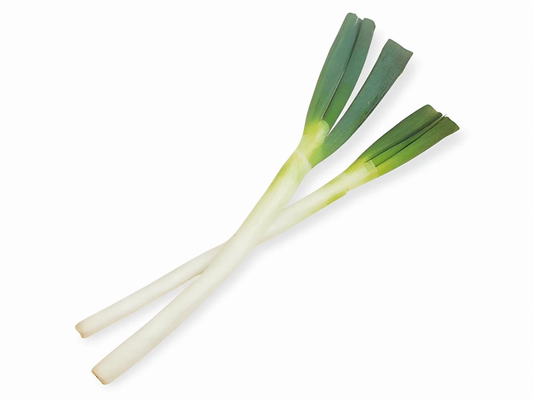 白い背景に2本のネギが斜めに交差している写真です。