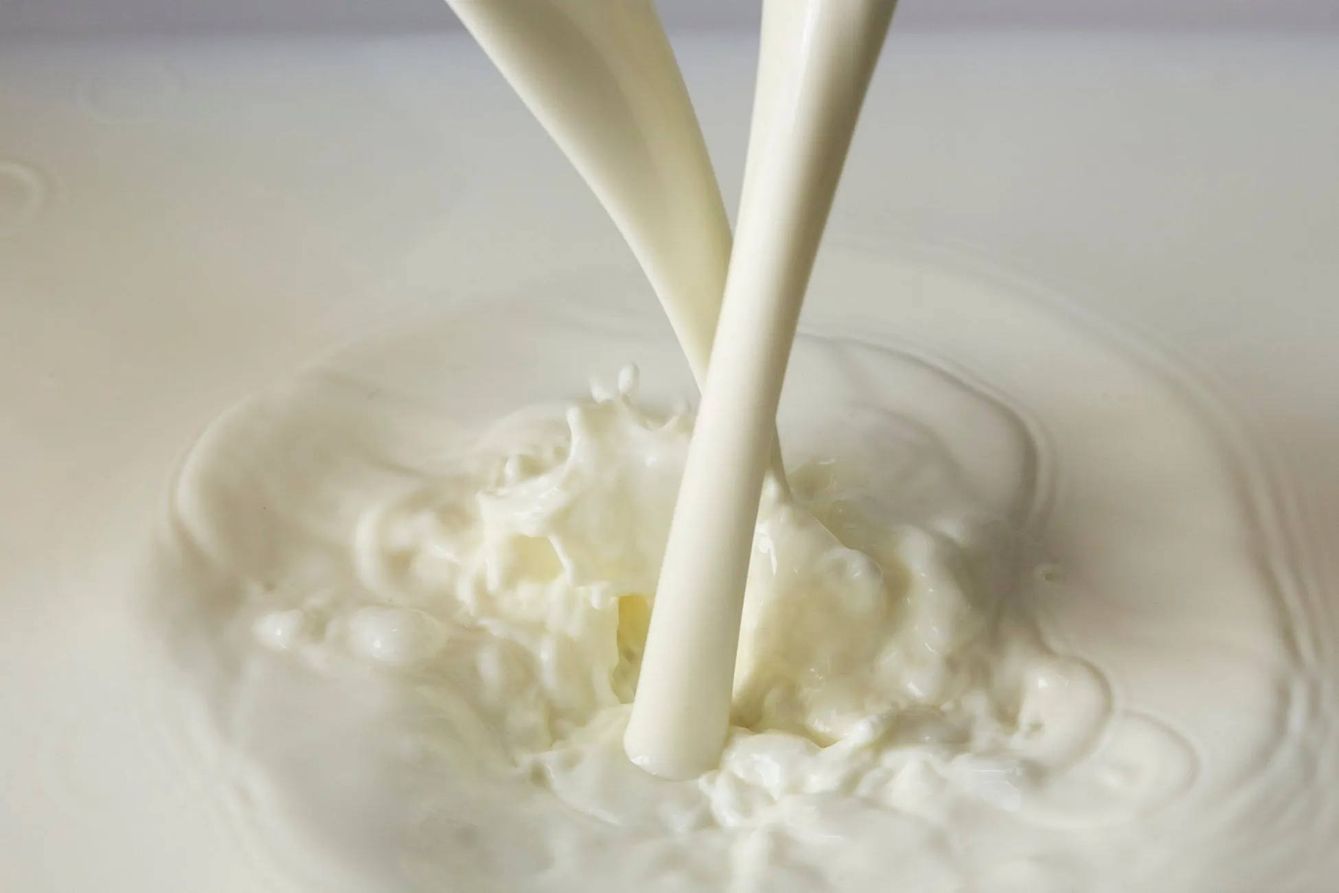 牛乳を注いでいる様子