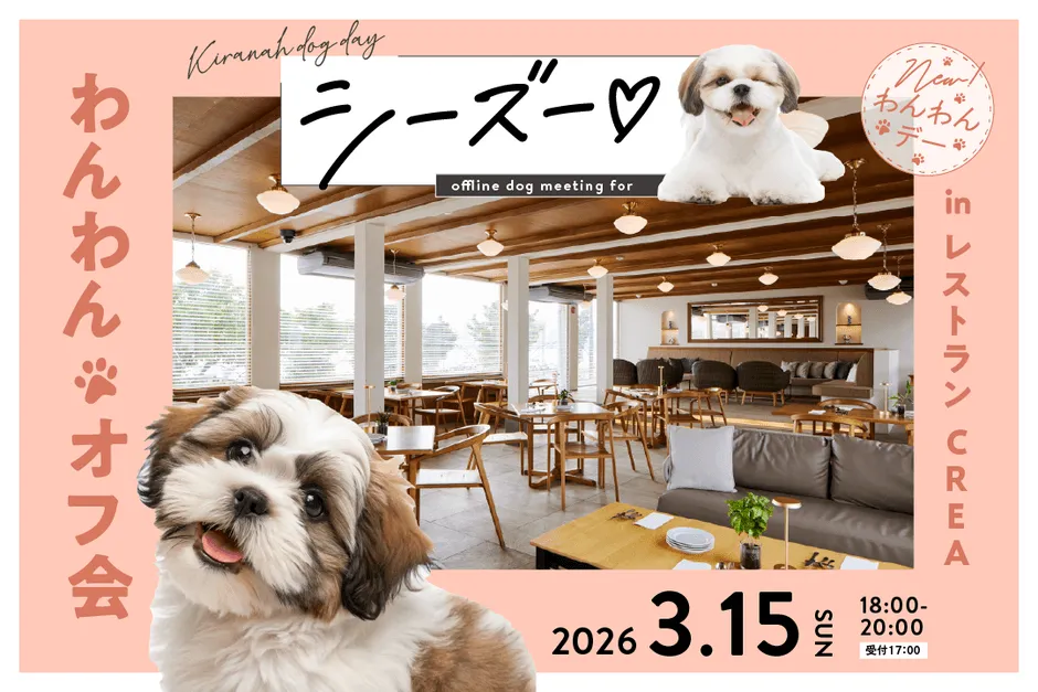 50頭のシーズーが大集合！【キラナガーデン豊洲】奇跡の「シーズーオフ会」で感動体験を