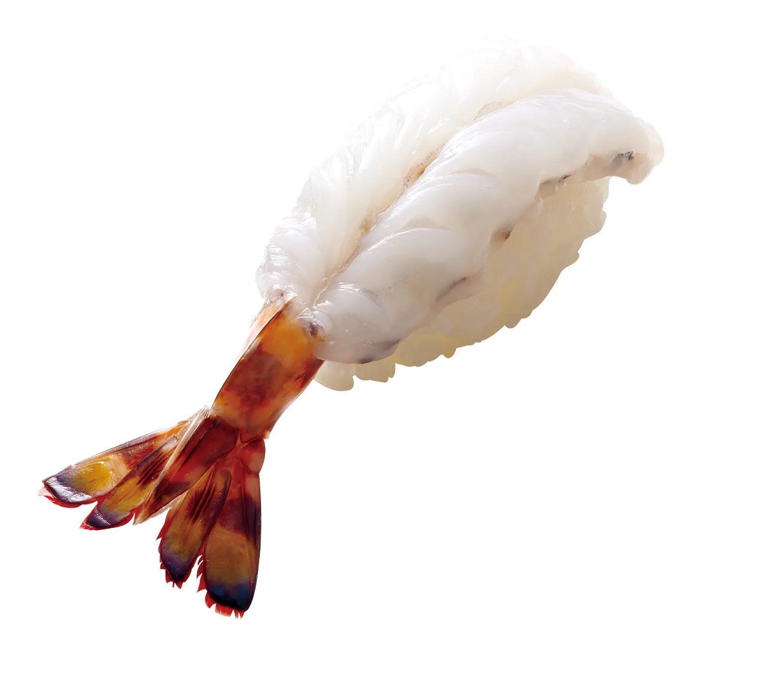 エビの握り寿司のクローズアップ画像