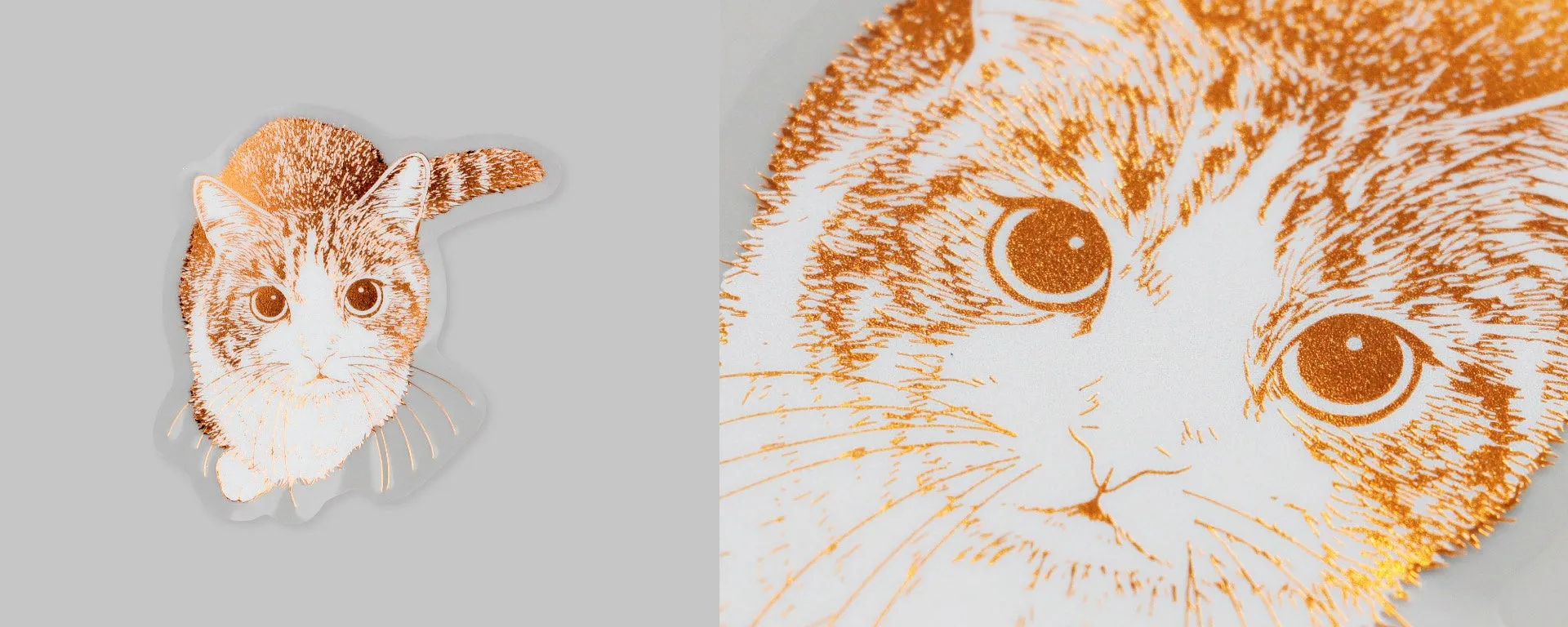 金色の猫のイラスト