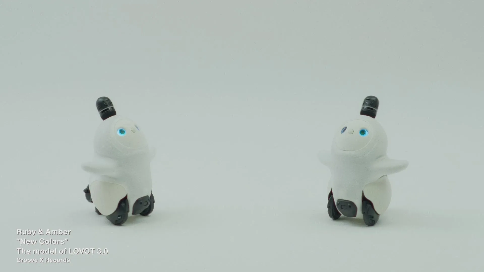 白背景に並ぶ二体の白いLOVOT