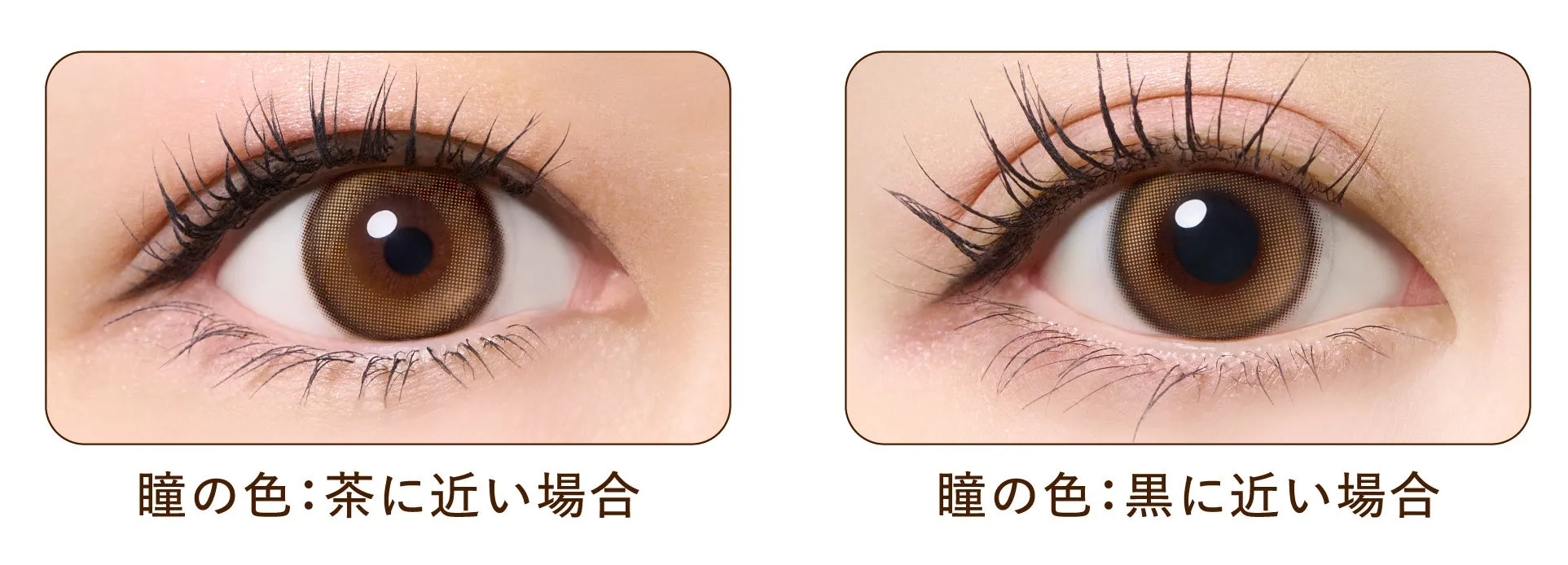 光のブラウン 瞳比較