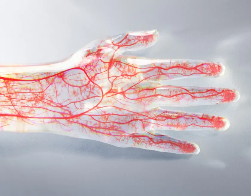 手のひらに血管