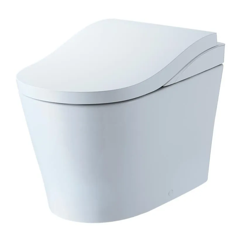 白いトイレのクローズアップ写真です。トイレは曲線的なデザインで、蓋が閉められています。