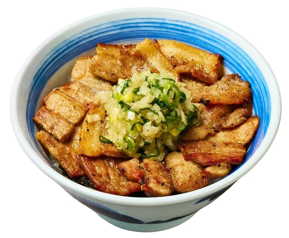 豚肉の丼。豚肉は焼き目がついており、ネギが添えられている。