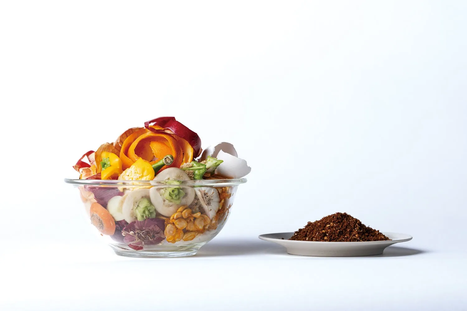 生ゴミと処理後の比較