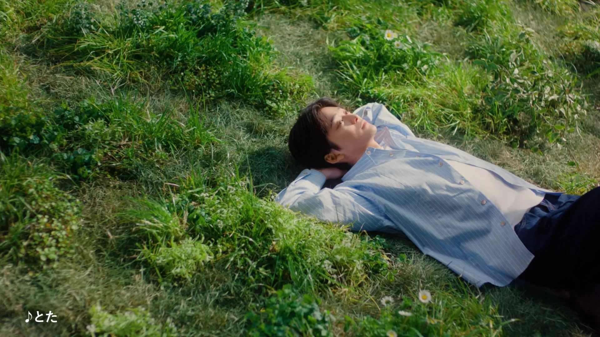 男性が芝生に寝転んで空を見上げている写真