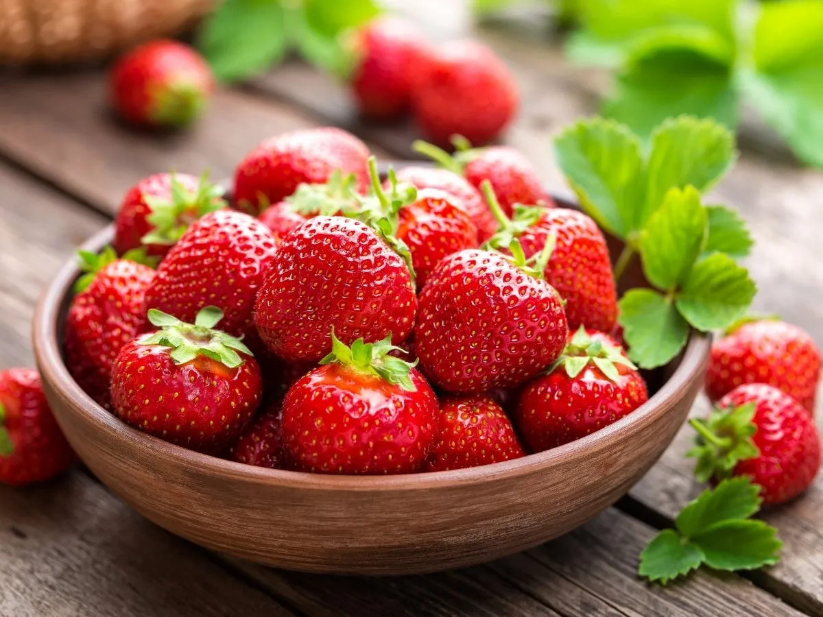 新鮮なイチゴの入った茶色のボウルのクローズアップ写真