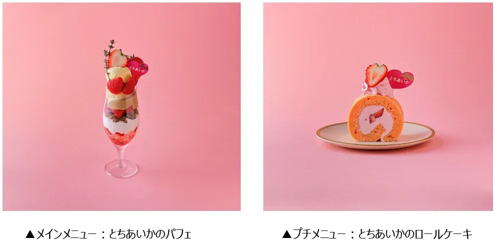 とちあいかのパフェ＆ロールケーキ