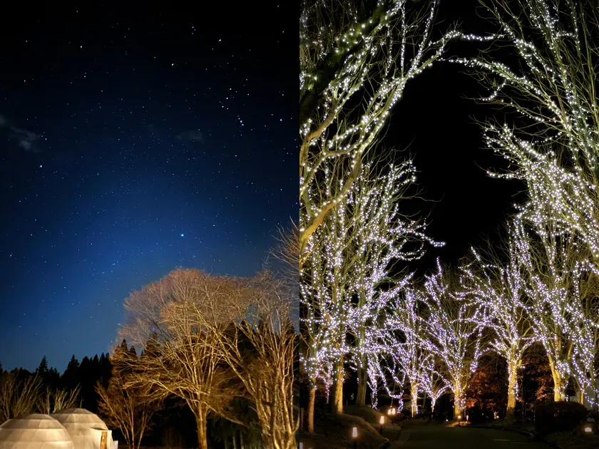 星空とイルミネーションが輝く夜の風景