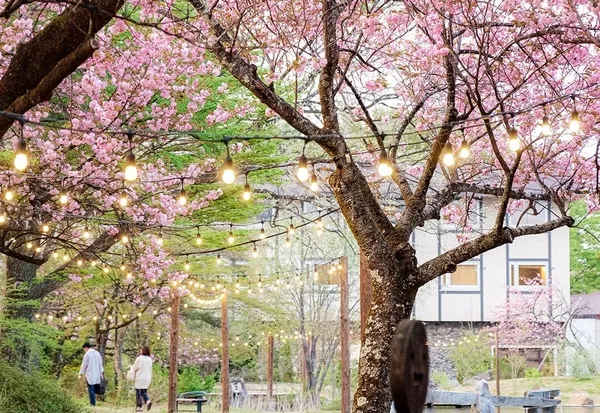 一の坊リゾートの風景3