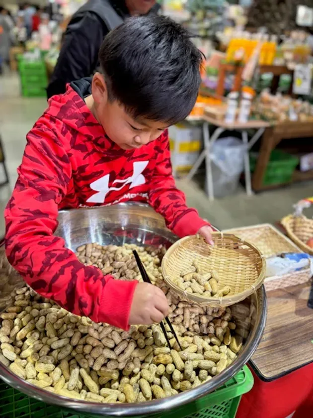 お箸でつまみ取り・落花生