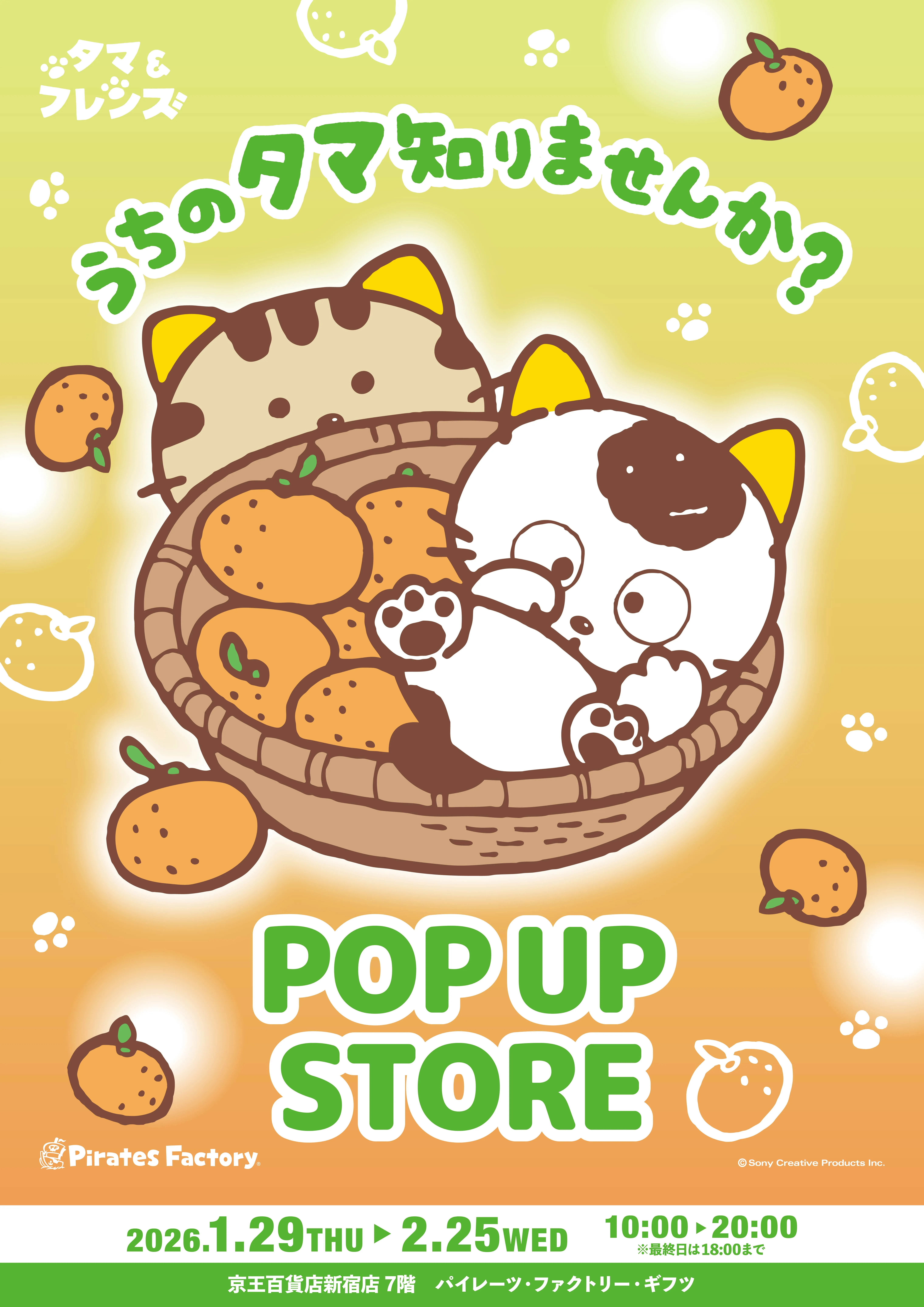 「うちのタマ」が新宿に！猫の日に会える限定ストアがオープン