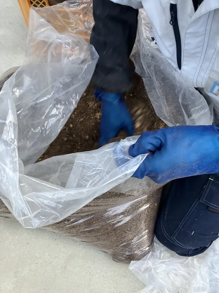 透明なビニール袋に入った土のようなものを、青いゴム手袋をした人が手で混ぜている様子。