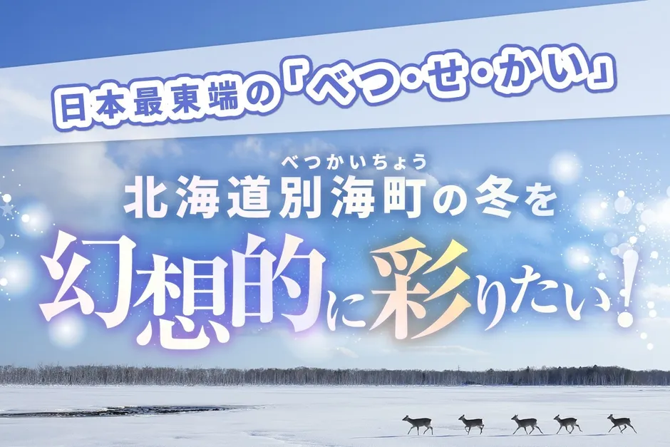 北海道別海町の冬を幻想的に彩るプロジェクト