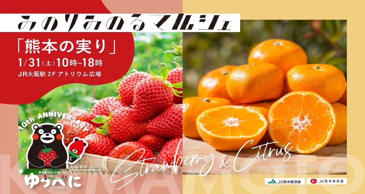 大阪駅が熊本に!1/31限定マルシェで旬の苺「ゆうべに」をGET