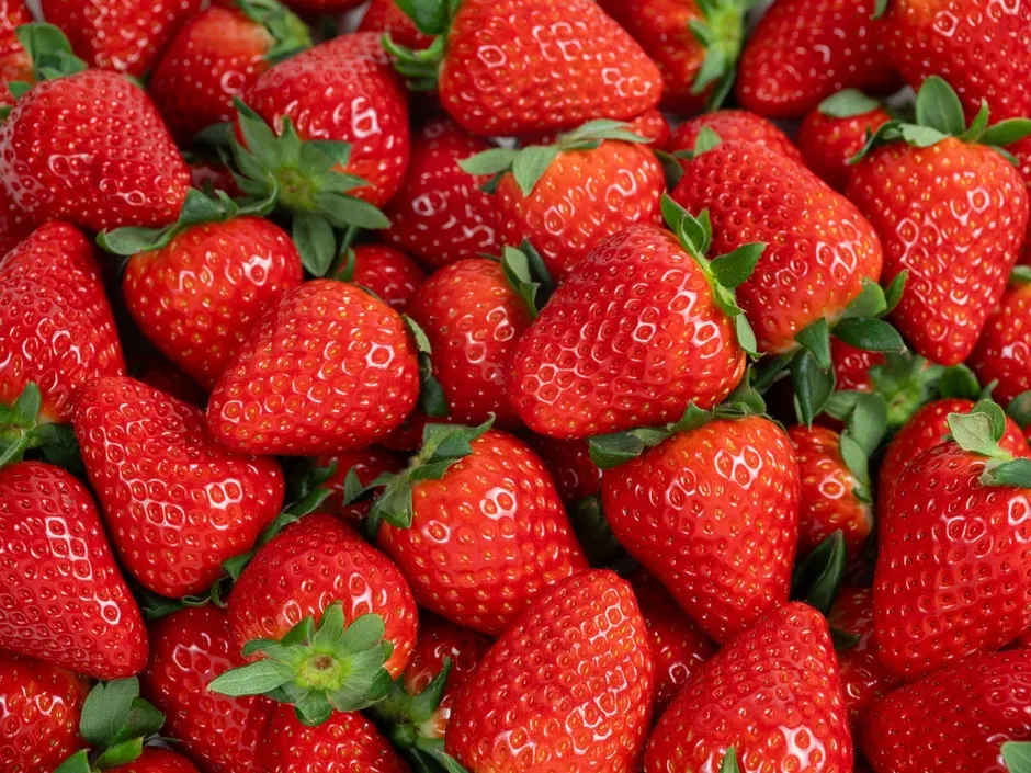 たくさんの新鮮ないちご