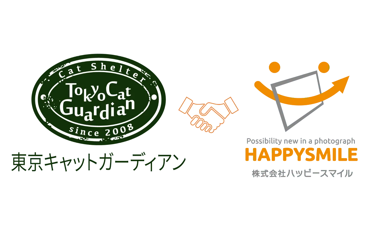 2/22猫の日から!写真で支える新しい「保護猫」支援の形