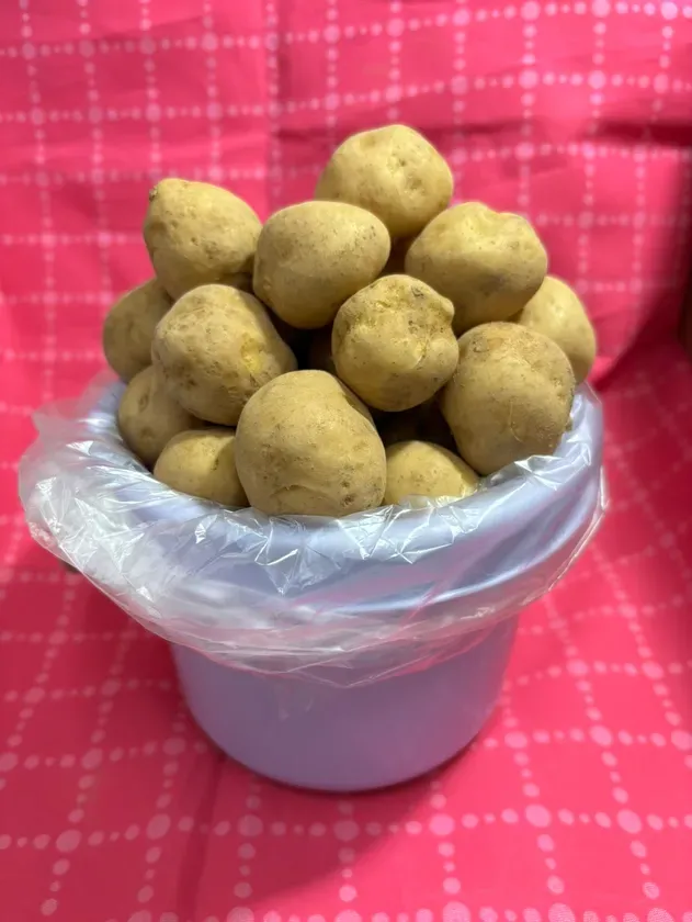 バケツに詰められた新じゃがいも