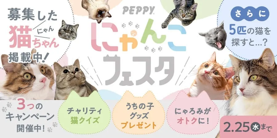 クイズで猫助け＆うちの子グッズも！PEPPYにゃんこフェスタ