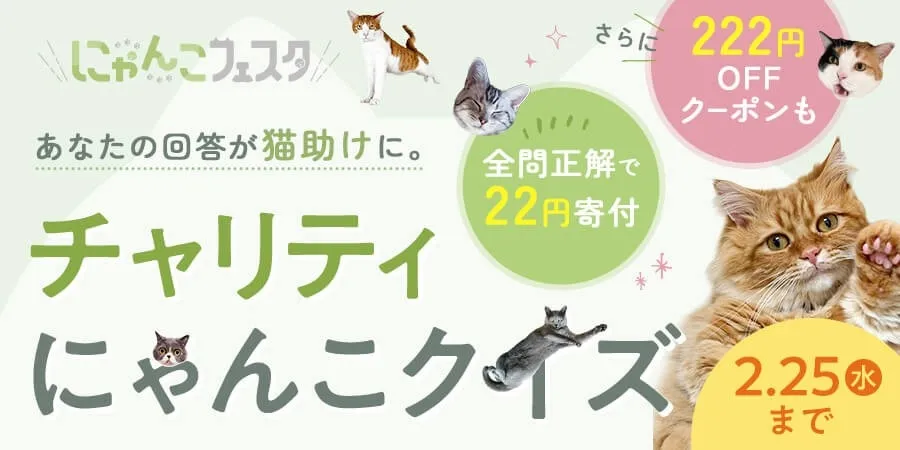 チャリティにゃんこクイズの告知画像