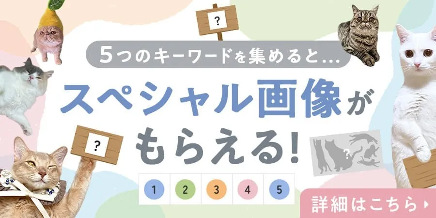 キーワード探しキャンペーンの告知画像